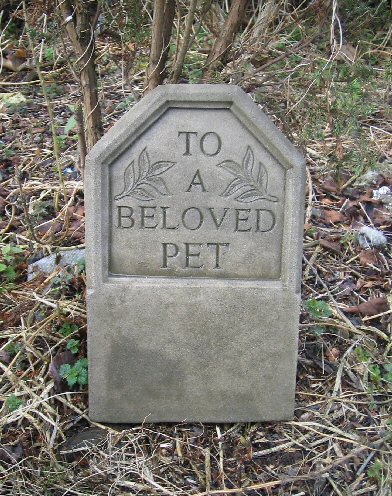 KM34 To A Beloved Pet KM34 To A Beloved Pet